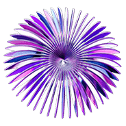 A graphic illustrating CMS Solutions service shape, showcasing various components and their interconnections in a structured layout.